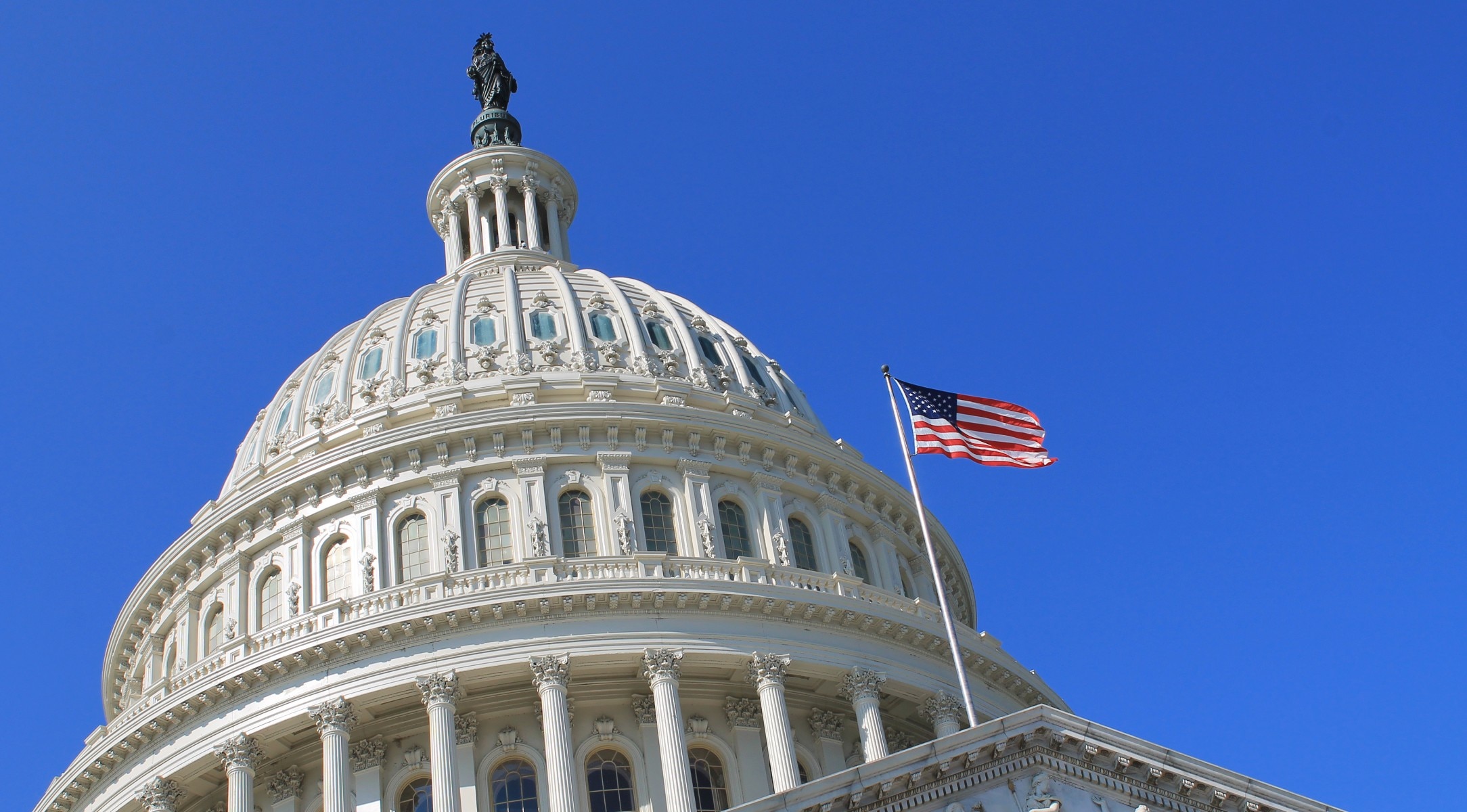 US flags surrounding the Washington monument.